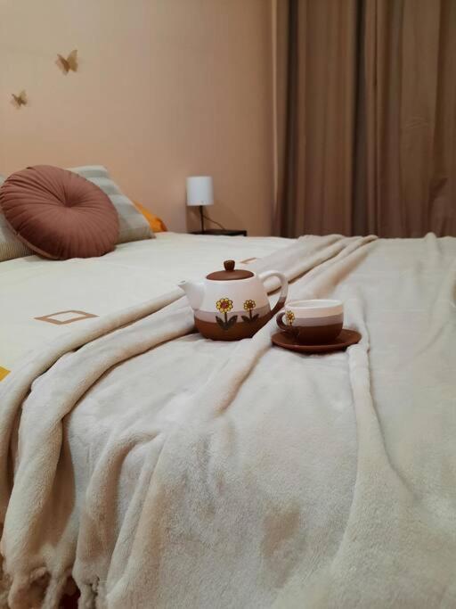 Bem Acogedora Y Muy Centrica Apartment Zamora Luaran gambar