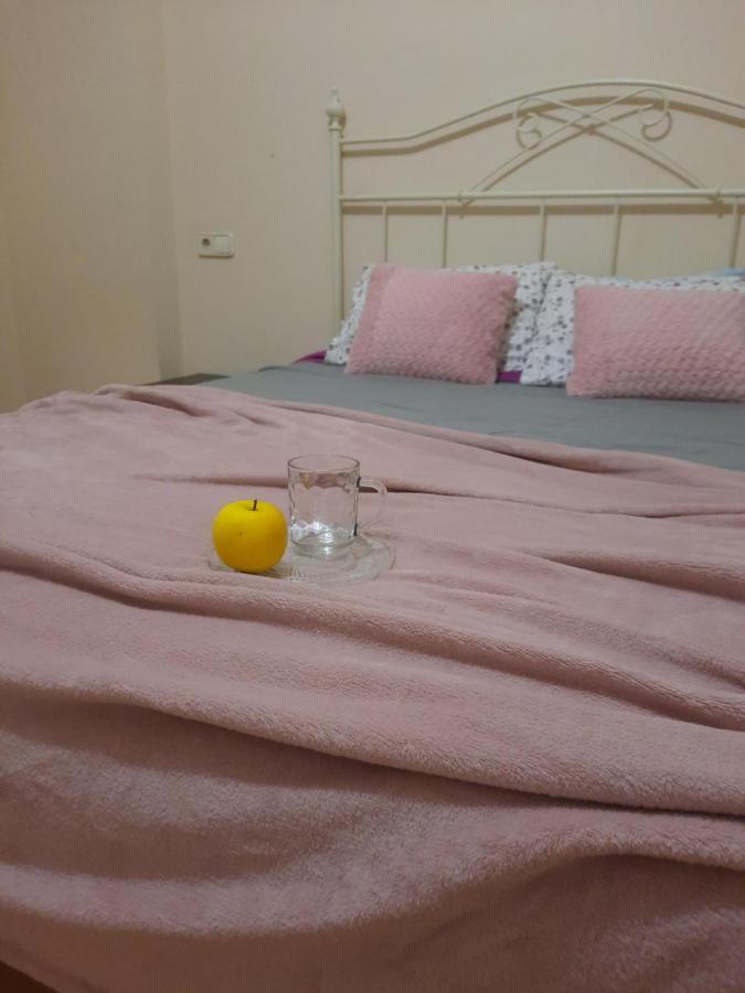 Bem Acogedora Y Muy Centrica Apartment Zamora Luaran gambar